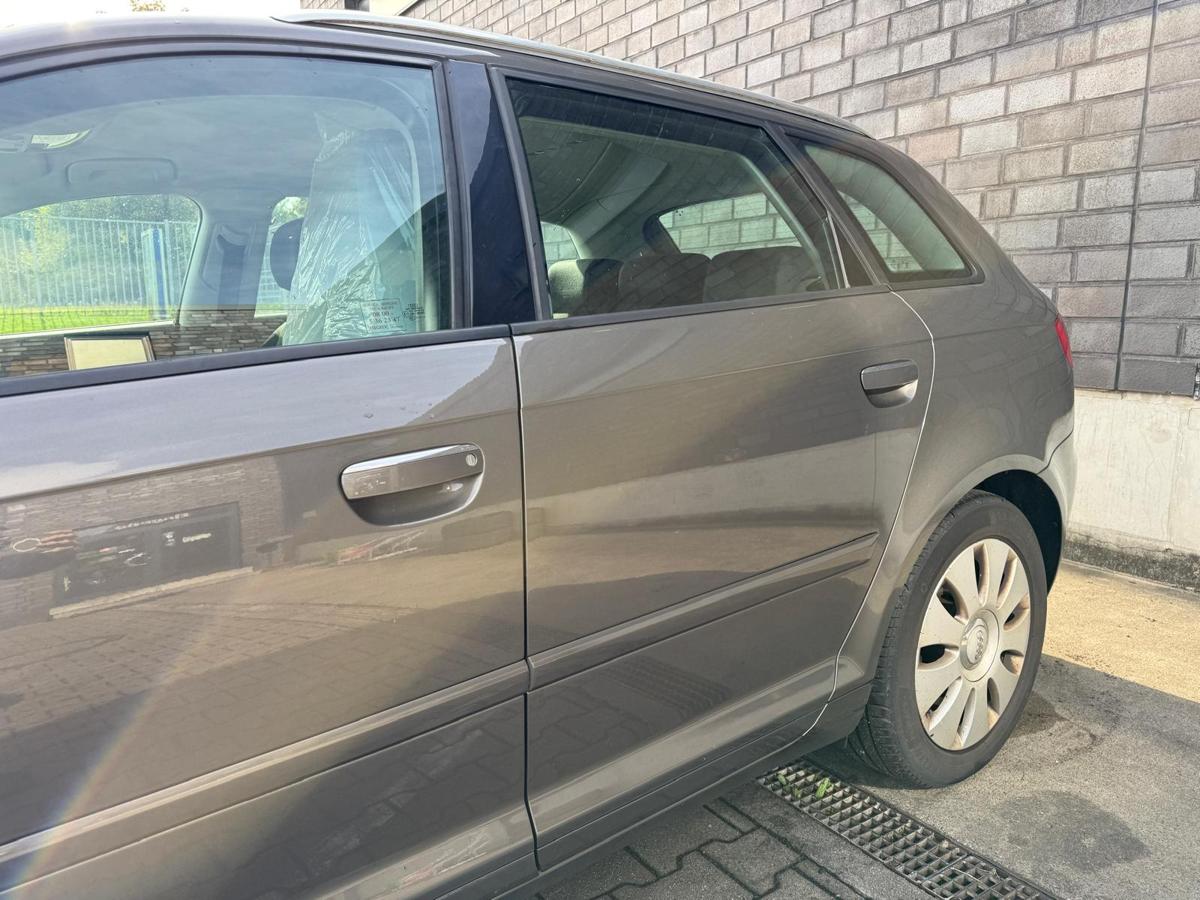 Audi A3 8P original Tür hinten links LY1P Dakotagrau Metallic Rohbau BJ12